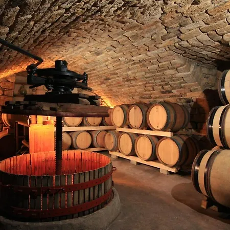 Domaine D'augnac Rosières