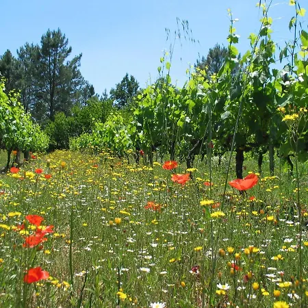 Domaine D'augnac Feriehus Rosières
